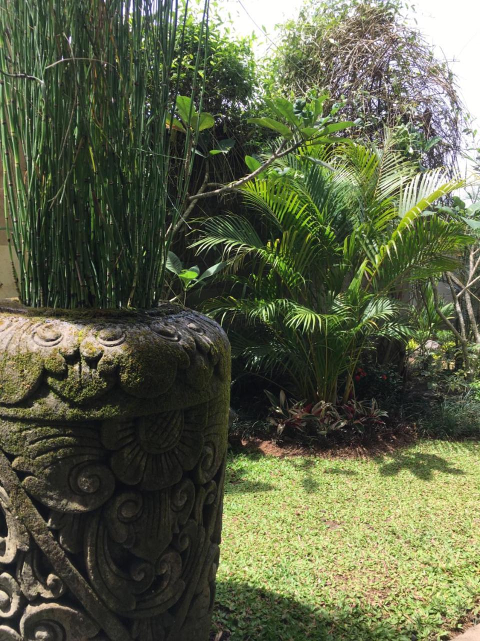 Heaven Villa Ubud Bagian luar foto